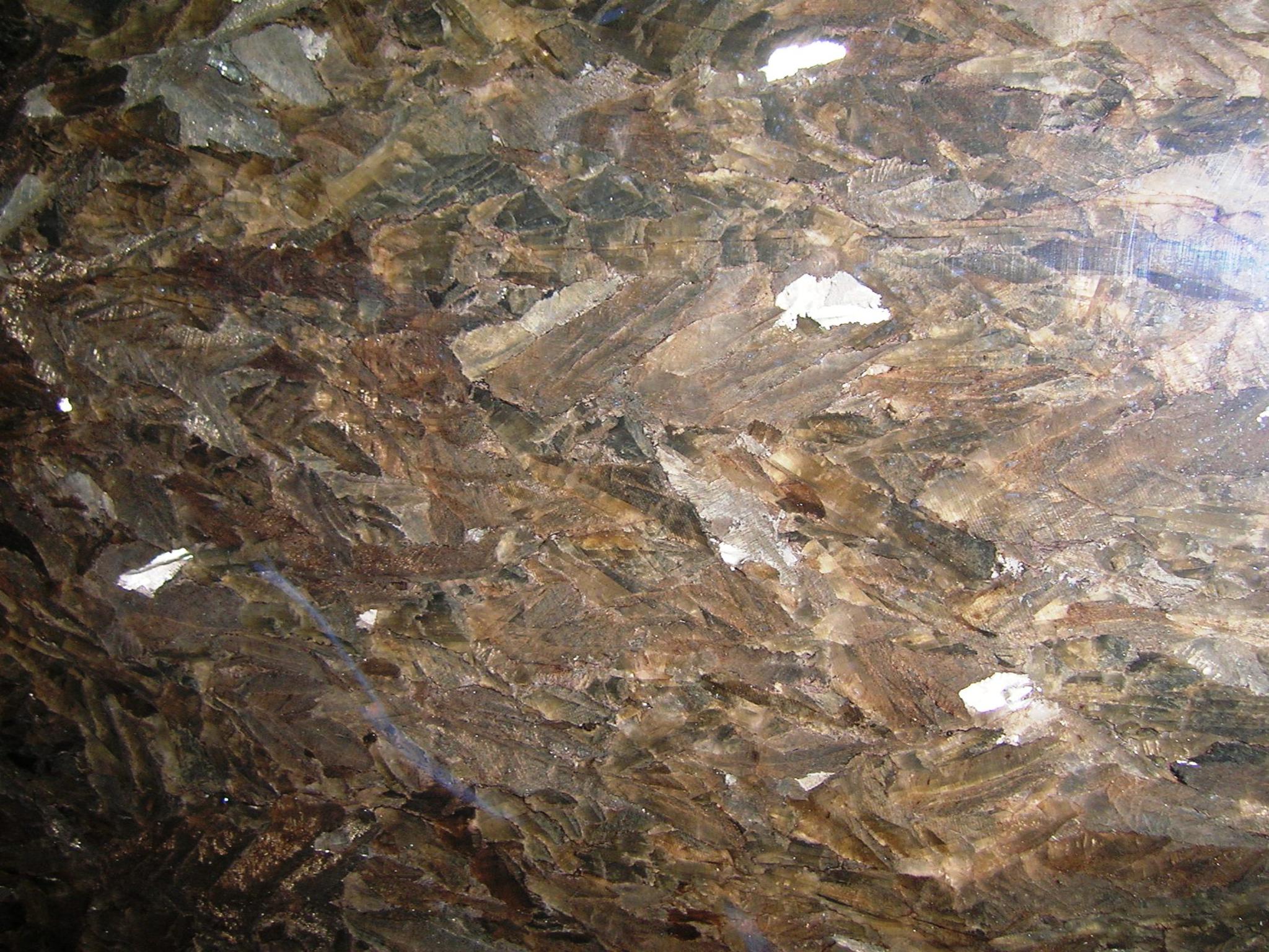 >Main View
